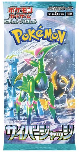 Japanese Cyber Judge